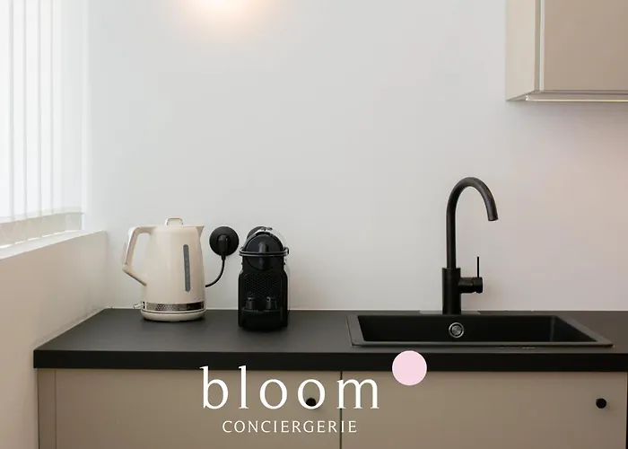 公寓 Le Loft De Standing De Foch 南锡