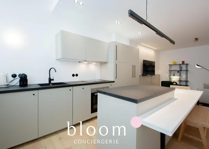 Le Loft De Standing De Foch *